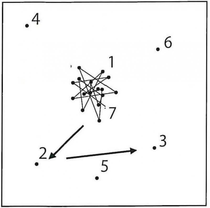 0_random-walk-schematic.jpeg