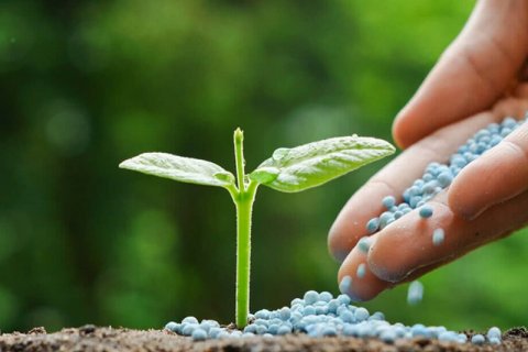 Hnojiva a agrochemie